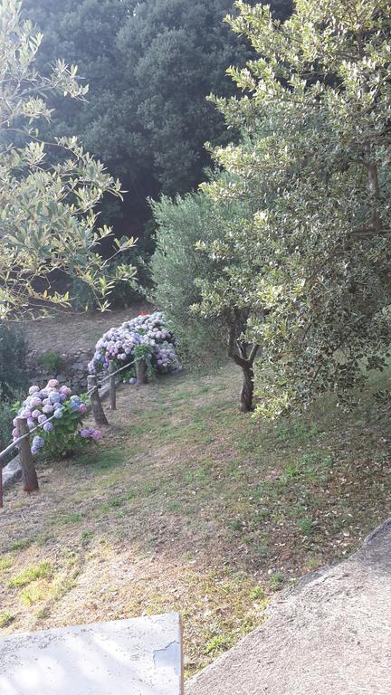 Arvasia Vernazza Eksteriør billede